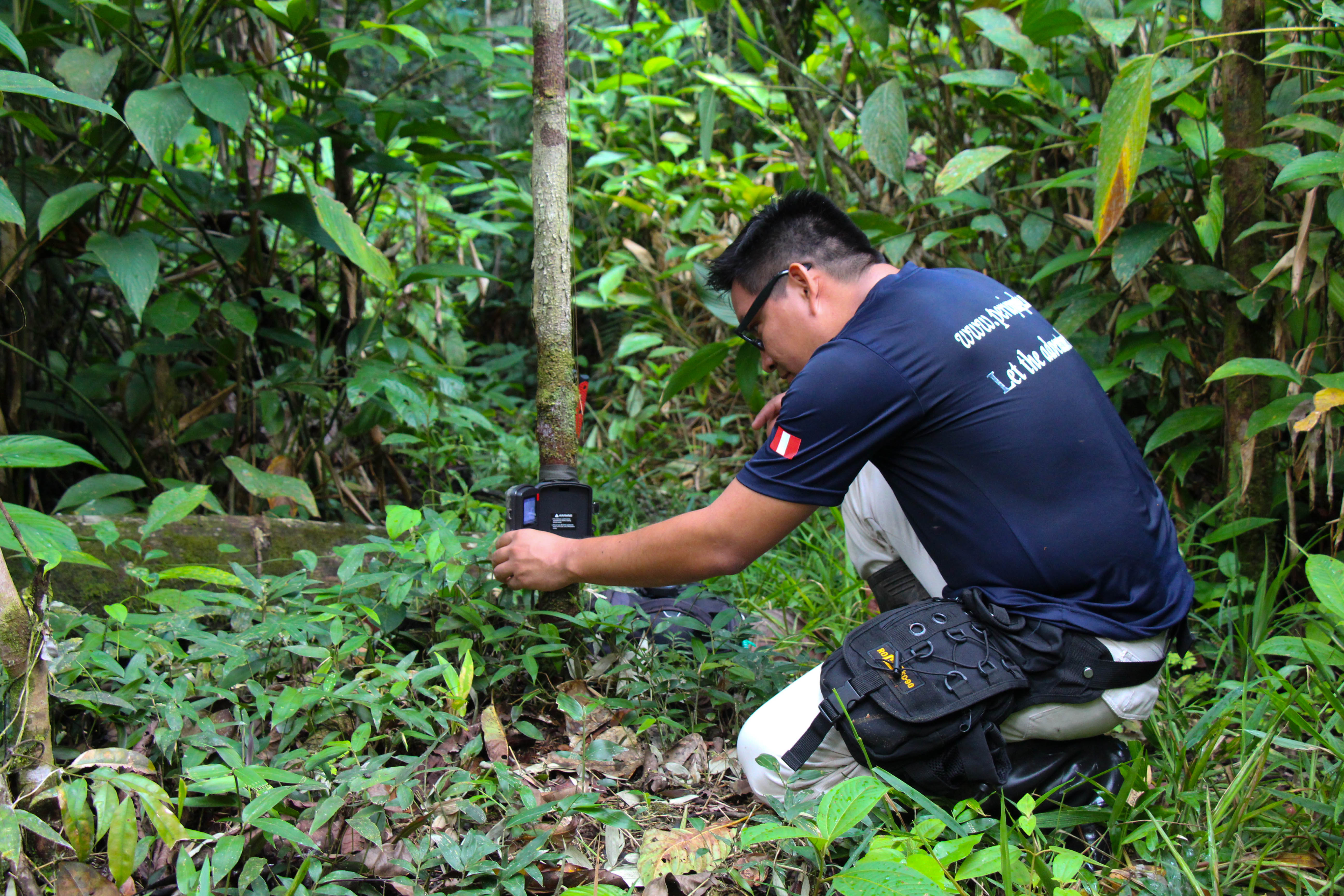 Photo from 4-Day Amazon Peru Rainforest Wildlife Experience safari tour